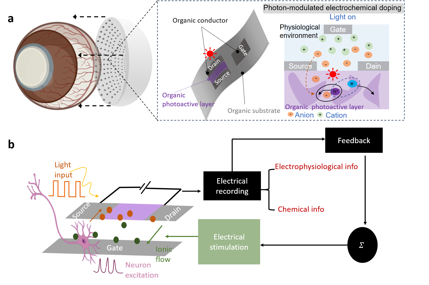 Artificia-Retina--2.png