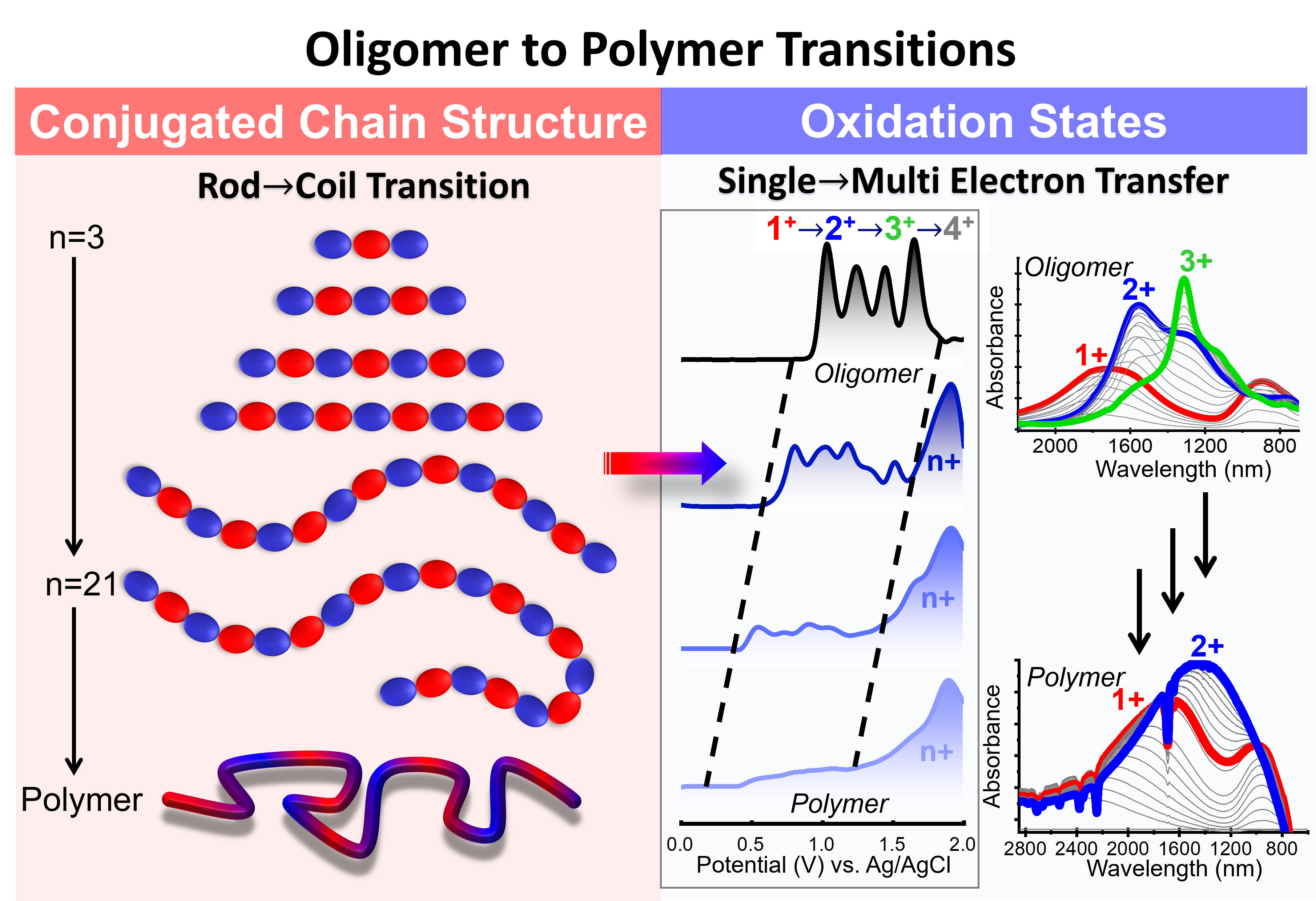 Oligomer-to-Polymer.png