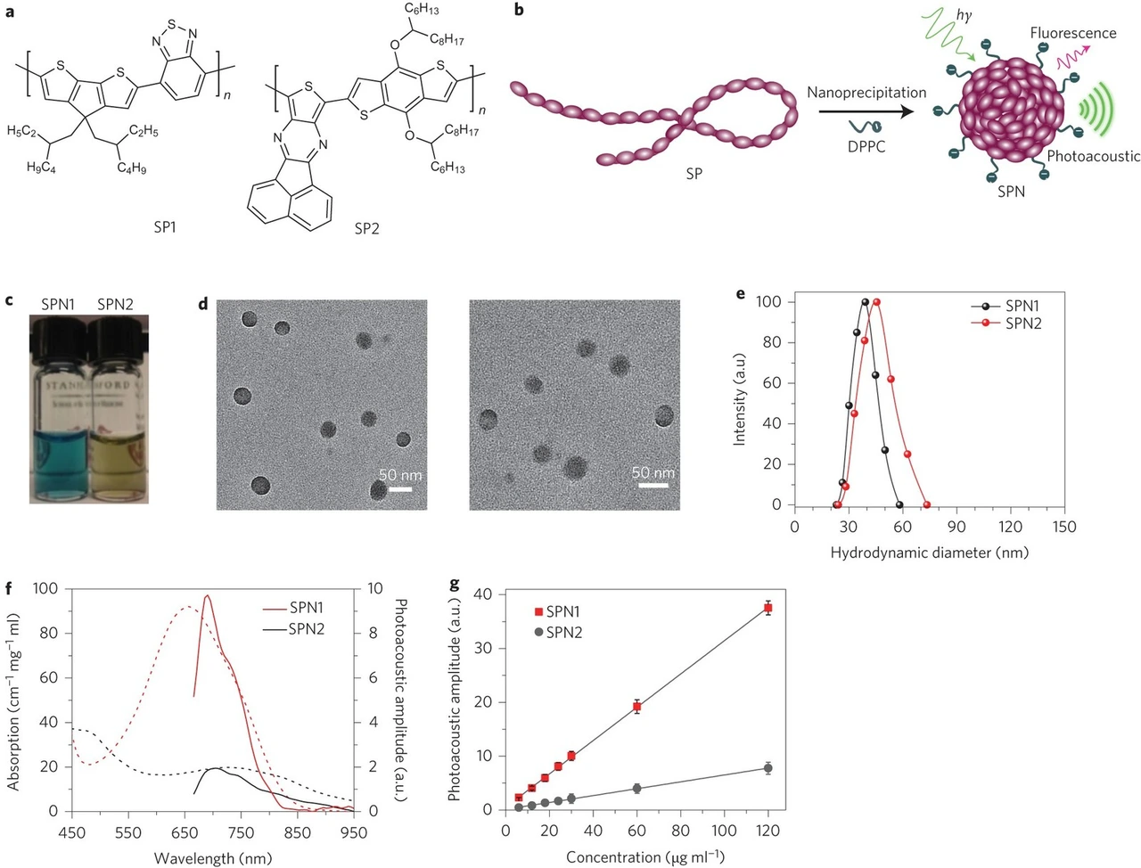 Table of contents graphic: Semiconducting Polymer Nanoparticles as Photoacoustic Molecular Imaging Probes in Living Mice