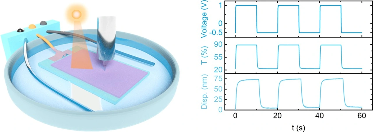 Table of contents graphic: In-situ Measurement of Breathing Strain and Mechanical Degradation in Organic Electrochromic Polymers