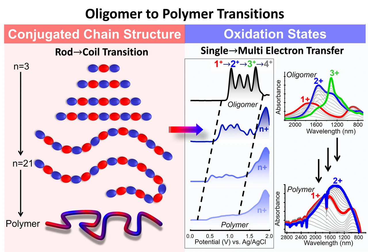 Table of contents graphic: Evolution of Chain Dynamics and Oxidation States with Increasing Chain Length for a Donor-Acceptor Conjugated Oligomer Series
