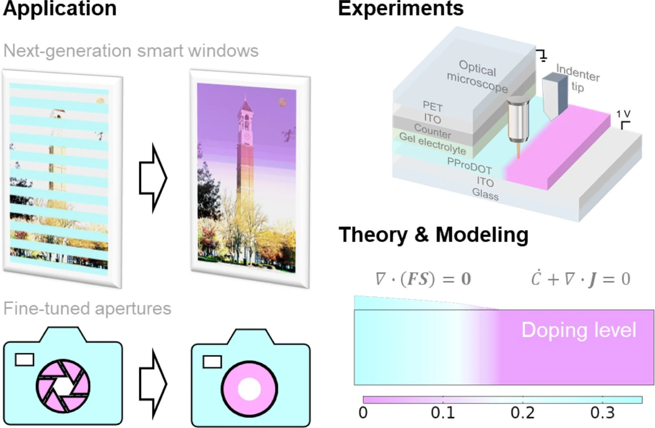 Table of contents graphic: Doping Kinetics in Organic Mixed Ionic-Electronic Conductors: Moving Front Experiments and Theoretical Modeling