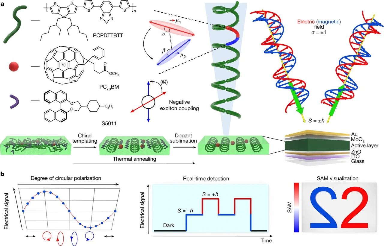 Table of contents graphic: Helical polymers for dissymmetric circularly polarized light imaging