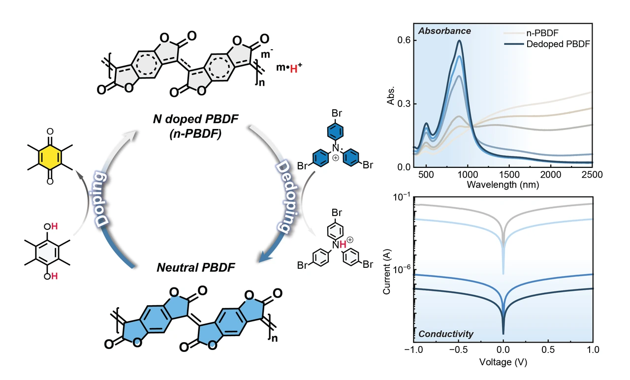 Table of contents graphic: Controlled Dedoping and Redoping of N-Doped Poly(benzodifurandione) (n-PBDF)