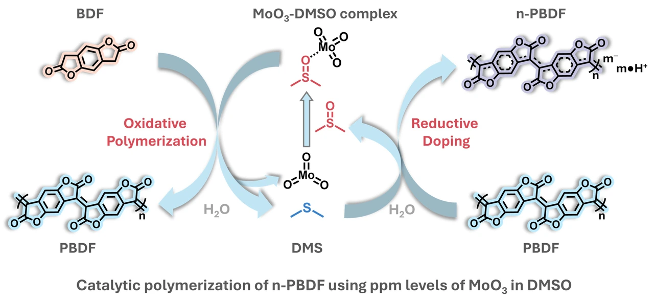 Table of contents graphic: Catalytic Polymerization of n-Doped Poly(benzodifurandione) (n-PBDF) Using Parts Per Million (ppm) Levels of Molybdenum Trioxide