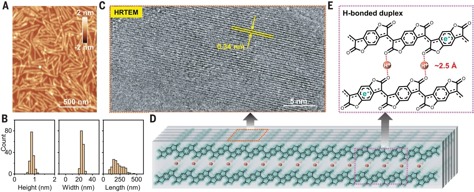 n-PBDF nanoribbons and the hydrogen-bonded packing of their extended chains