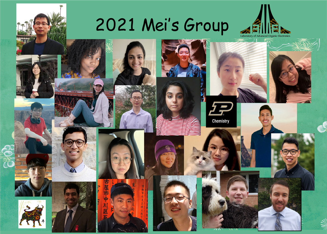 2021 Mei's group