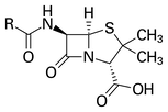 Mei group member